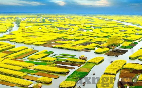 91免费麻豆-探索91免费麻豆的背后——网络世界的边缘与选择