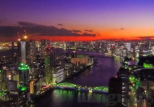app麻豆-构建生活新镜像，App与麻豆的共生纽带