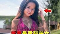 成人免费在线视频大全-成人世界的知识窗口，免费在线视频的多元视角