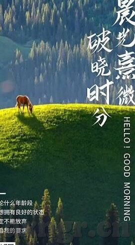 大象传媒下载安装官方-探索大象传媒下载安装的官方途径与价值
