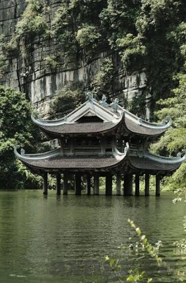 丁香六月成人在线视频-丁香六月，成人在线视频的伦理与界限