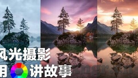 该看糖心vlog了-限定词诱惑，解锁糖心Vlog的世界