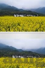 国产区麻豆视频-国产区麻豆视频，探寻新时代文化消费的多元面貌