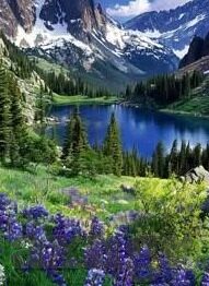 国际精品 日韩av-全球视角下的文化交流，国际精品与日韩AV的多元融合