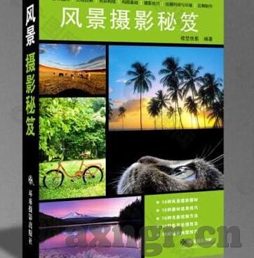 久久久91麻豆-不止一瞥，久久久久1麻豆之多样性与美学探索