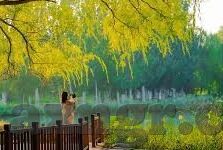 麻豆短视频app-麻豆短视频APP，记录与分享多元生活的瞬间