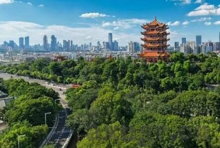 麻豆文化传媒有限公司招聘-麻豆文化传媒有限公司启航新征程，共筑创意与激情的梦想舞台