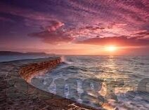 人妻免费视频～-人妻生活，探索真实与界限的微妙平衡