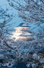日韩av在线一区二区三区-探索日韩AV在线一区二区三区的多元文化与娱乐视角