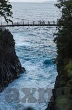 糖心app官网下载入口-糖心app官网下载指南——快速入口与用户探索初体验