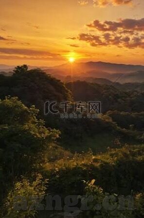 糖心app免费版直播-糖心直播，解锁娱乐新体验的钥匙