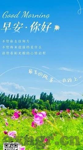 糖心视频app安装并下载-诱惑与风险，糖心视频app的安装与下载体验