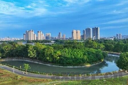 糖心视频app官方下载-珍惜家庭，慎选应用，对糖心视频app官方下载的思考