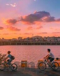 糖心vlog柚子-糖心vlog，记述柚子里的不为人知的清甜